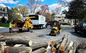 Best Utility Line Clearance  in Garden City, SC